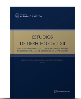 Estudios de Derecho Civil XII